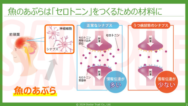 SAMPLE_02