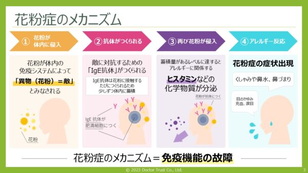 kahun_yokokawa_sample3