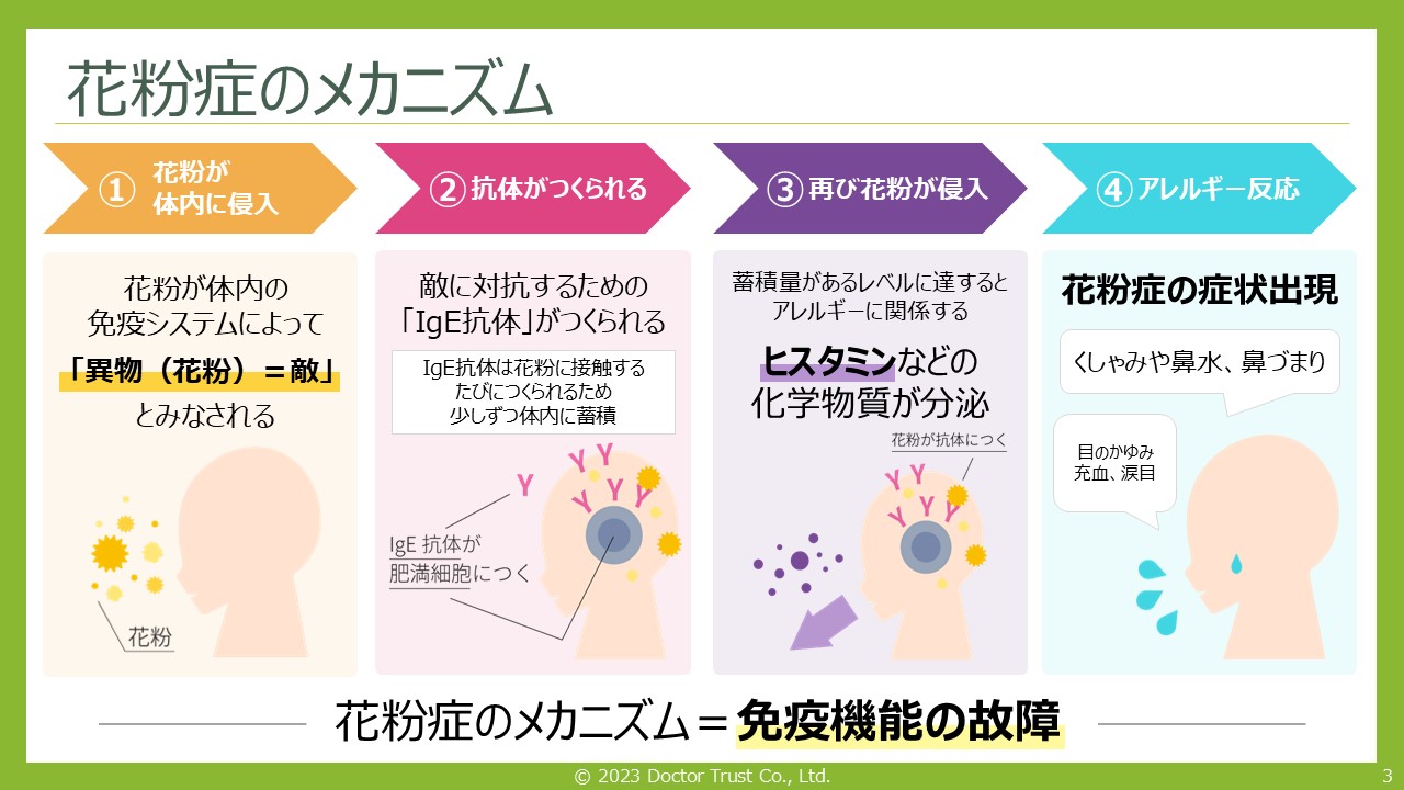 kahun_yokokawa_sample3