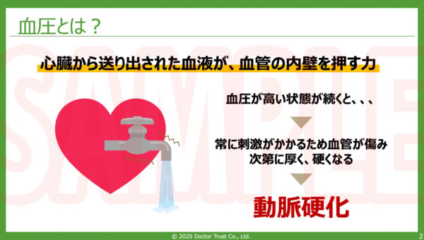 img-bp2